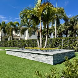 Pristine Landscapes - Christmas Palm Tree in a decorative stone planter bed