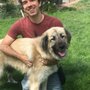 Photo of Dog Decoded Behavior Consulting