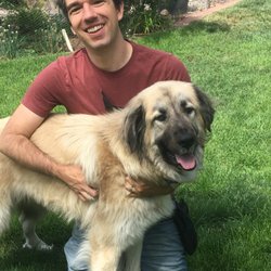 Dog Decoded Behavior Consulting