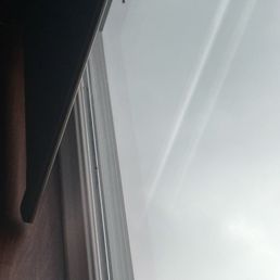 Window with flies. Window with flies.