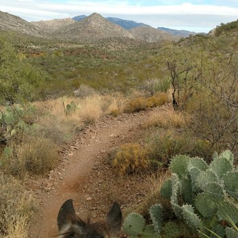 Colossal Cave Mountain Park - Museums Near Me - Vail, Arizona Colossal Cave Mountain Park - Museums Near Me - Vail, Arizona