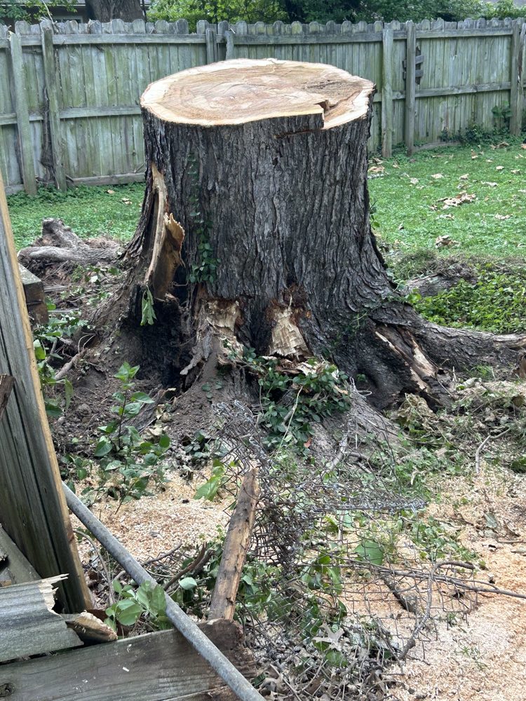 Abercrombie Tree Service Plus - tree service in Springfield, MO