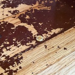Somebody's orthodontic rubber band left on our table