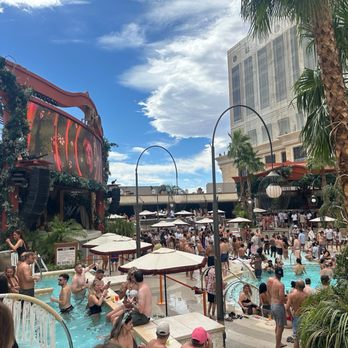 TAO Beach - Swimming Pools Near Me - Las Vegas, Nevada