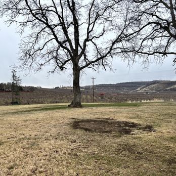 Sorosis Park - Sorosis Park - lovely orchard views behind - Parks Near Me - The Dalles, Oregon Sorosis Park - Sorosis Park - lovely orchard views behind - Parks Near Me - The Dalles, Oregon