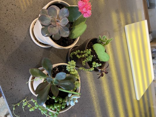 Mae Mae Café & Plant Shop by null