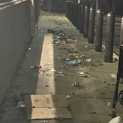 Dollar Tree - Filthy outside