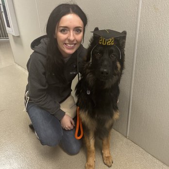 Kennelwood Pet Resort - Raegan Dog Trainer with Gabriel my German Shepherd - Pet Training Near Me - O'fallon, Illinois Kennelwood Pet Resort - Raegan Dog Trainer with Gabriel my German Shepherd - Pet Training Near Me - O'fallon, Illinois
