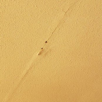 The Best Drywall - ceiling bubble - Drywall Installation & Repair Near Me The Best Drywall - ceiling bubble - Drywall Installation & Repair Near Me
