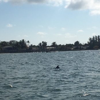 Cayo Costa State Park - Dolphins and manatees - Beaches Near Me - Cayo Costa, Florida