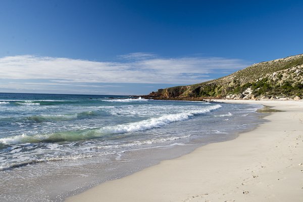 Exceptional Kangaroo Island by null