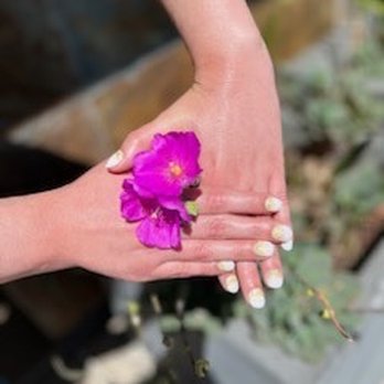 Natural Nails Boutique - Beautiful flowers surround the boutique but not as beautiful as my nails! - Nail Salons Near Me - Campbell, California Natural Nails Boutique - Beautiful flowers surround the boutique but not as beautiful as my nails! - Nail Salons Near Me - Campbell, California