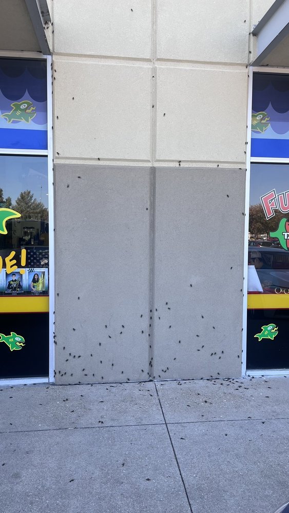 Fuzzy's Taco Shop