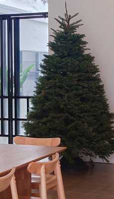 Apartment Coffee by null