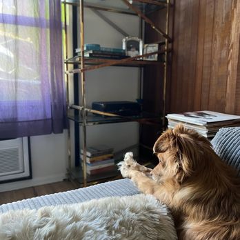 Healthy Spot - Studio City - Pet Groomers Near Me - Studio City, California
