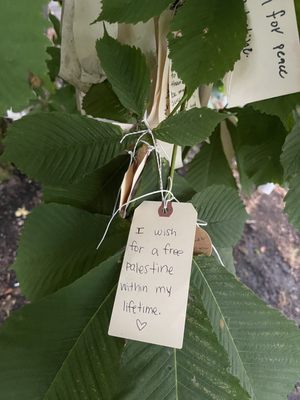 The Wishing Tree by null