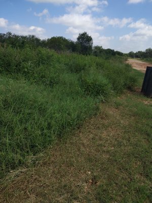 Gc Lawn & Care on Yelp