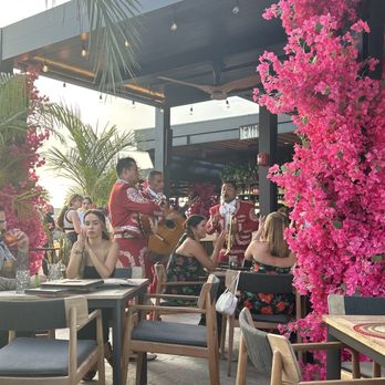 Maiz y Agave - FANTASTIC mariachi band! Best I've ever heard EVER! Soooo fun and amazing service. Great drinks - Mexican Near Me - Miami, Florida