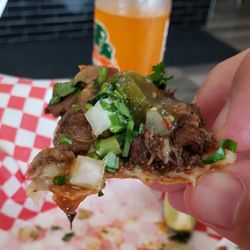 Thlaco Taco Tijuanense - Birria vampiro con todo