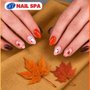 NT Nail Spa