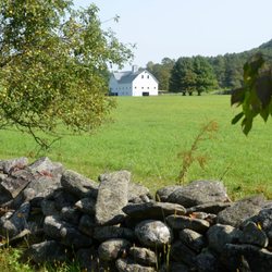 The White Barn Farm