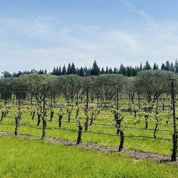 Furthermore Wines - Wine Tasting Room Near Me - Sebastopol, California