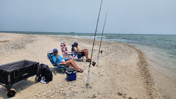 Botany Bay Heritage Preserve/Wildlife Management Area by null