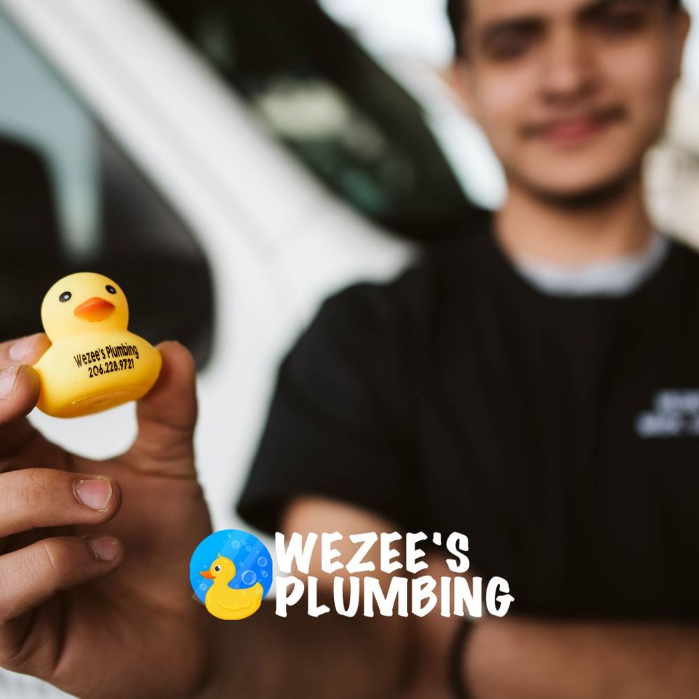 Slide of Wezee's Plumbing