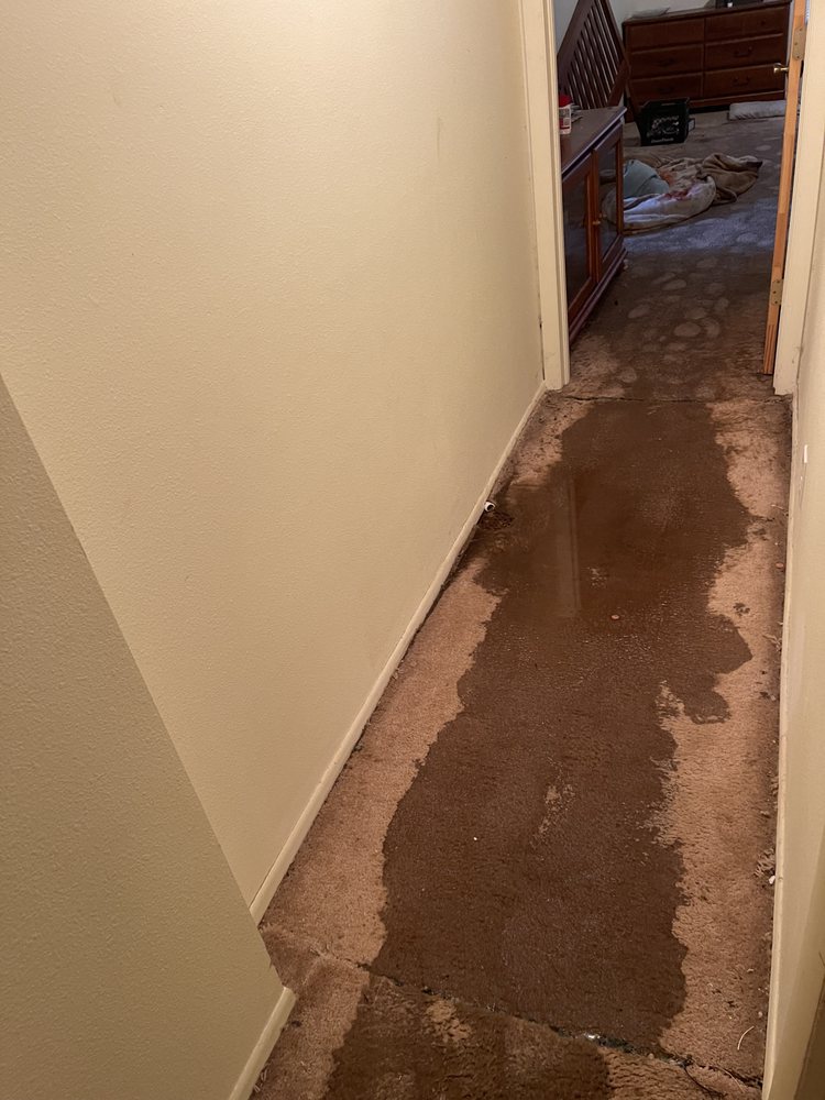 Slide of RHR Plumbing