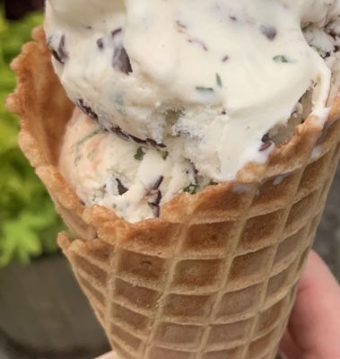 Willard Scoops by null