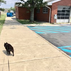 Sunoco - Good pet area around back by bathroom.