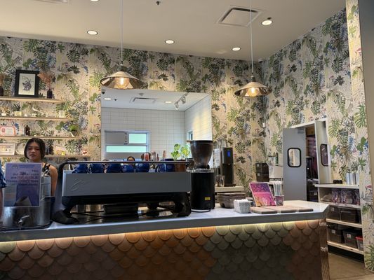 Mothership Coffee Roasters by null