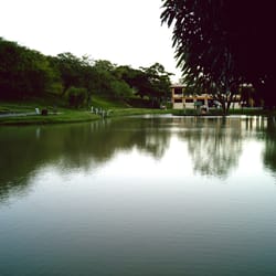 Parque da Cidade