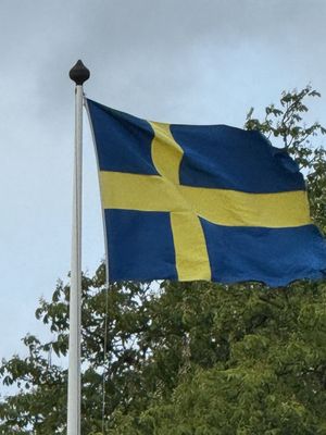 Bäckaskog Slott by null