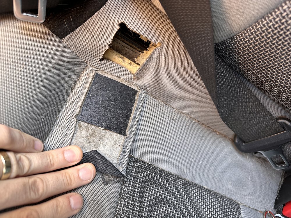 AUTO DETAILING CENTER Updated August 2024 46 Photos & 54 Reviews