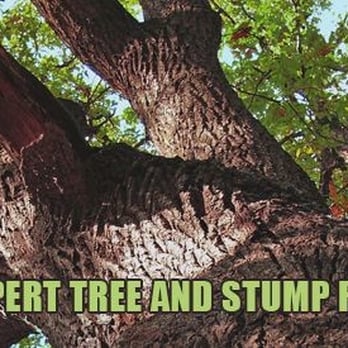 A & W Tree Service - Tree Services Near Me - East Brunswick, New Jersey A & W Tree Service - Tree Services Near Me - East Brunswick, New Jersey