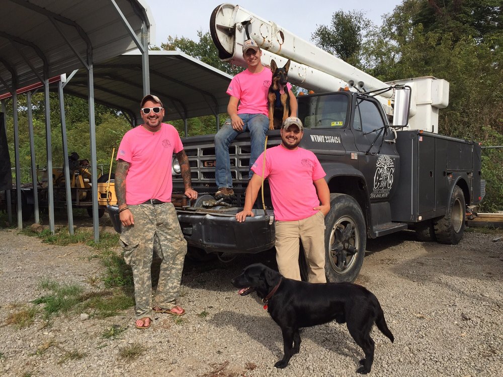 Cragg & Son - tree service in Huntington, WV