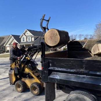 Luigi's Tree Service - Log removal in Buffalo Grove, Illinois - Tree Services Near Me Luigi's Tree Service - Log removal in Buffalo Grove, Illinois - Tree Services Near Me
