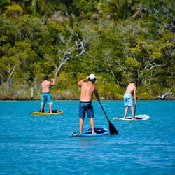 Jetty Kayak Rentals - Paddle board on the clear blue water at Venice Jetty