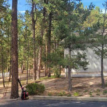 Tree Hoppers - Tree Services Near Me
