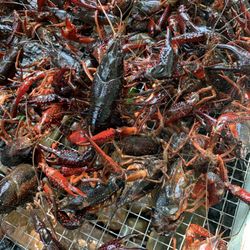 Woodlands Seafood