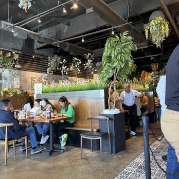 Bespoke All Day Cafe - Lobby area - Breakfast & Brunch Near Me - Las Vegas, Nevada