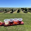 Penn Shore Winery and Vineyards gift card