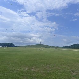 Kites!!