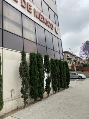 Consulate General of Mexico in Los Angeles by null