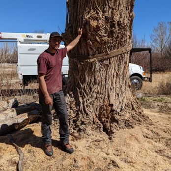 Terry's Tree Service - Terry Jr. (Aka TJ) - Tree Services Near Me