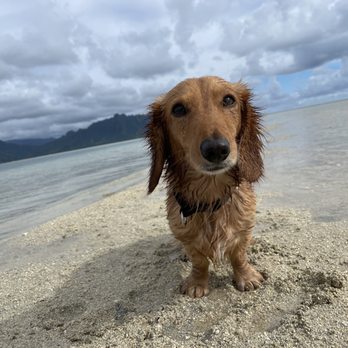 Kaneohe Bay Sandbar - Beaches Near Me - Kaneohe, Hawaii