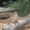 Riverbanks Zoo & Garden - Events & Hospitality gift card