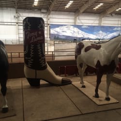 Eugene Pro Rodeo - Lots of fun things to see and do.