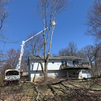 Professional Keylor Tree Service - Tree Services Near Me - Spring Valley, New York Professional Keylor Tree Service - Tree Services Near Me - Spring Valley, New York